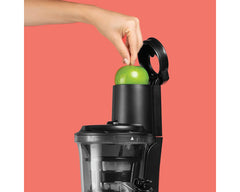 NutriBullet NBJ300 Slow Juicer (Masticating Juicer)