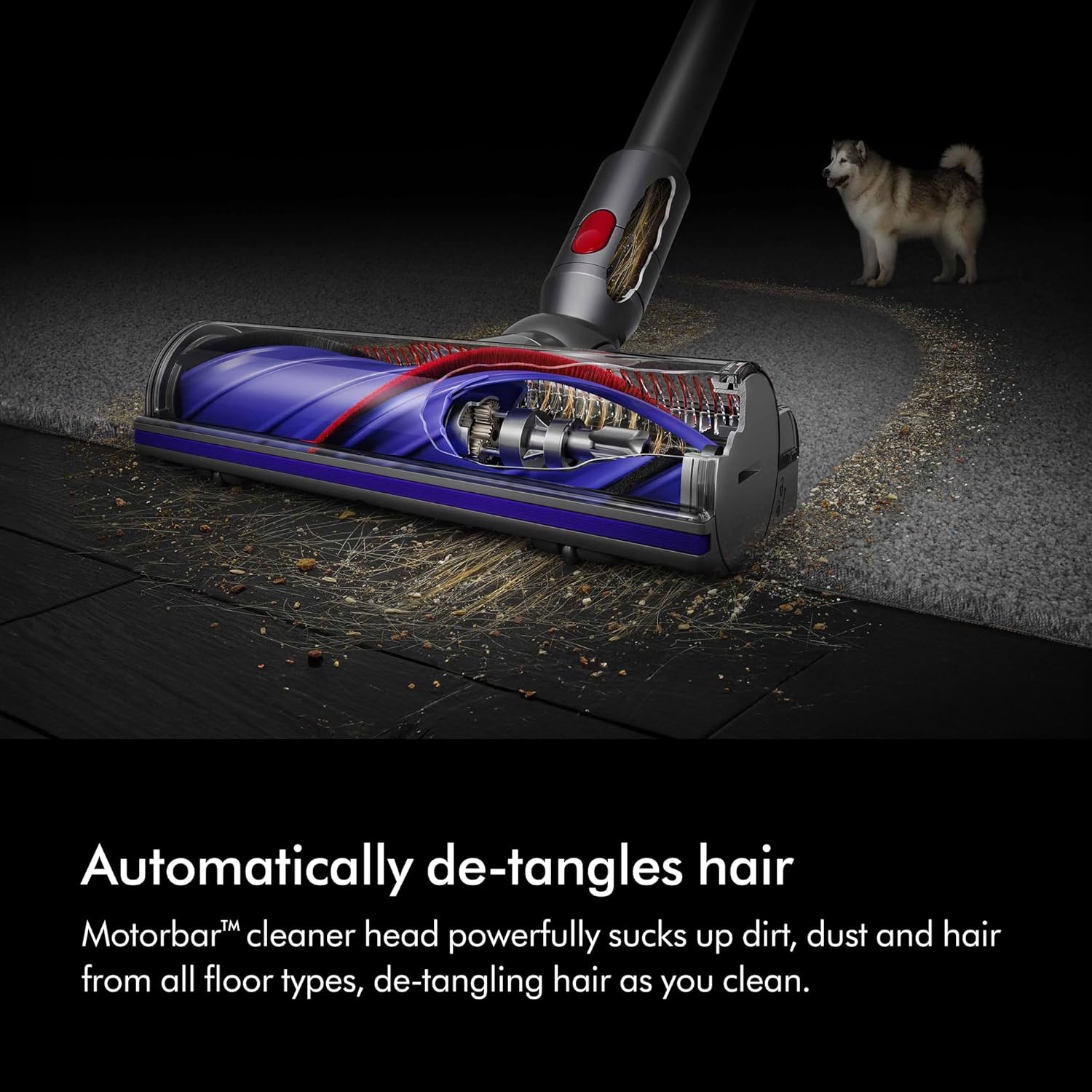 Dyson V8™ Cordless Vacuum Advanced | 2 year Dyson Warranty |492637-01 - UAE Version